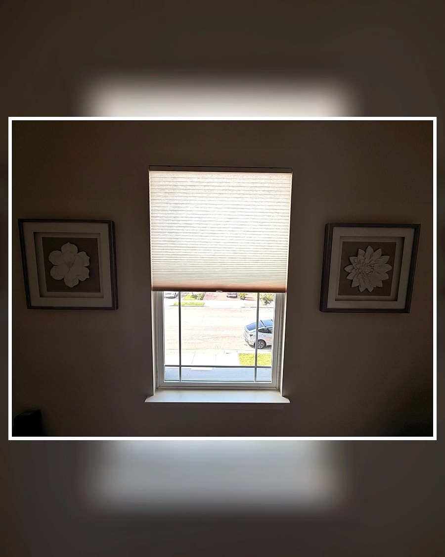 Top-down bottom-up cellular shade balancing daylight and privacy in a Ventura County bedroom