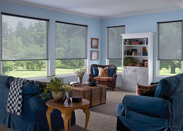 Living room with transparent window shades near Thousand Oaks, CA, sold and installed by 805 Shutters Shades & Blinds.